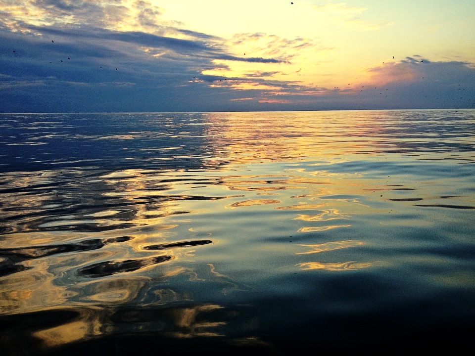 Immagine, mare, tramonti, fishing on the sea